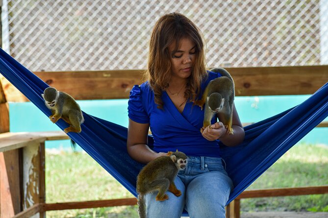 Monkey Encounter and Zip Line Tour from Amber Cove and Taino Bay - Timing, pickup, and practical details