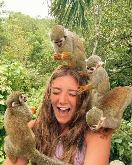 Monkey Encounter + ATV Riding Adventure – Puerto Plata - Two Puerto Plata adventures in four hours