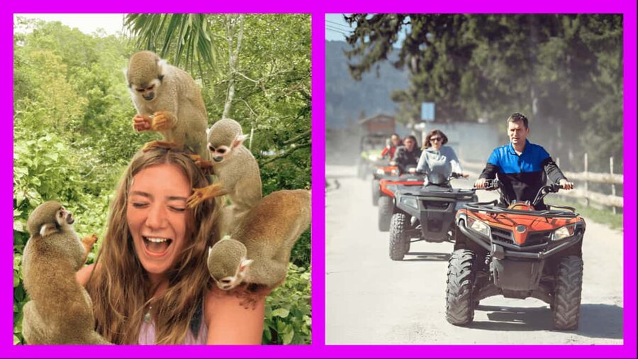 Monkey Encounter + ATV Riding Adventure – Puerto Plata - Meeting squirrel monkeys at the sanctuary