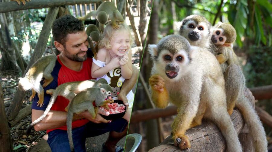 Monkey Encounter + ATV Riding Adventure – Puerto Plata - A private group changes the feel