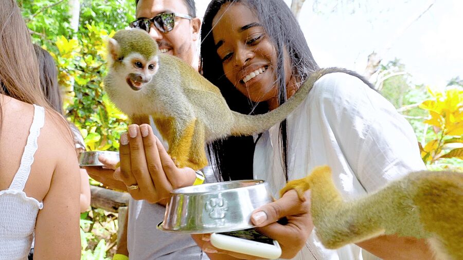 Monkey Encounter + ATV Riding Adventure – Puerto Plata - Booking details worth knowing