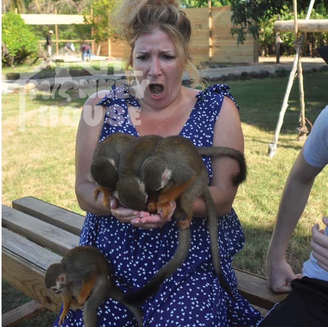 Monkey House VIP – An exclusive experience in Punta Cana - Why the four monkey species matter