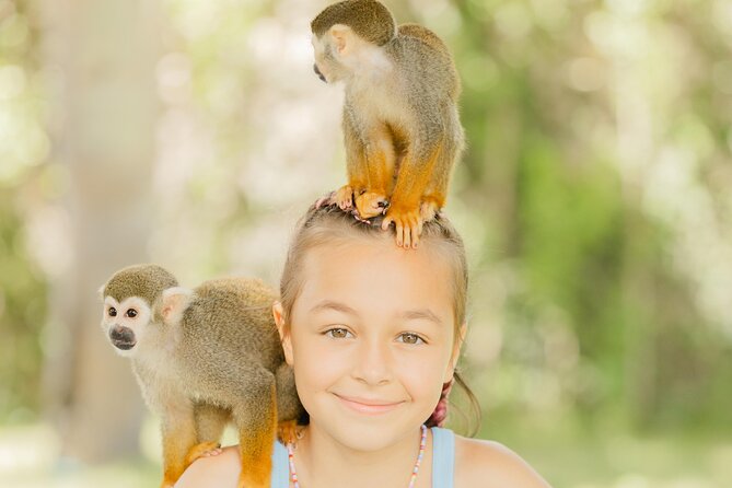 Monkey House VIP Experience with 4 species of monkeys, Punta Cana - What the 2.5-hour visit feels like