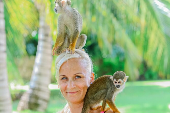 Monkey House VIP Experience with 4 species of monkeys, Punta Cana - Feeding, holding, and the chance of getting messy
