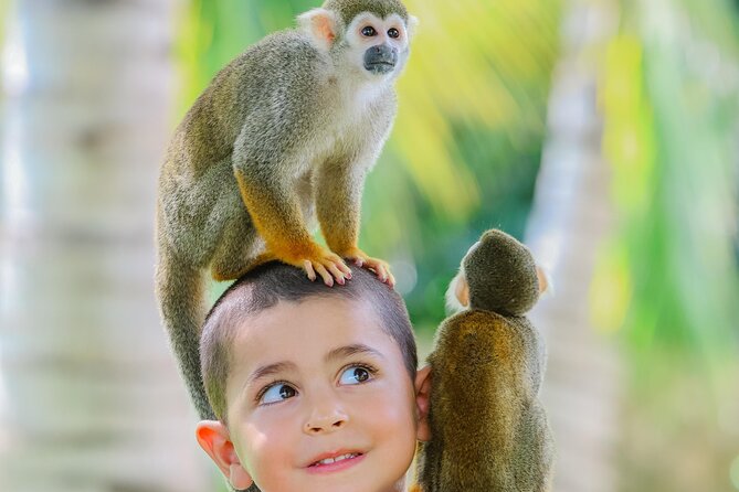 Monkey House VIP Experience with 4 species of monkeys, Punta Cana - The photo session and the biggest cost concern