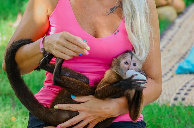 Monkey House VIP Experience with 4 species of monkeys, Punta Cana - Who should book this Punta Cana activity?