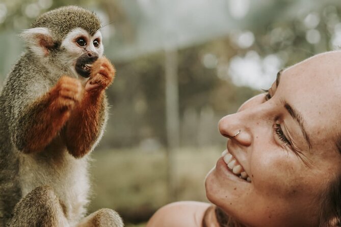 Monkey Jungle with Zip line - Key points to know before you book