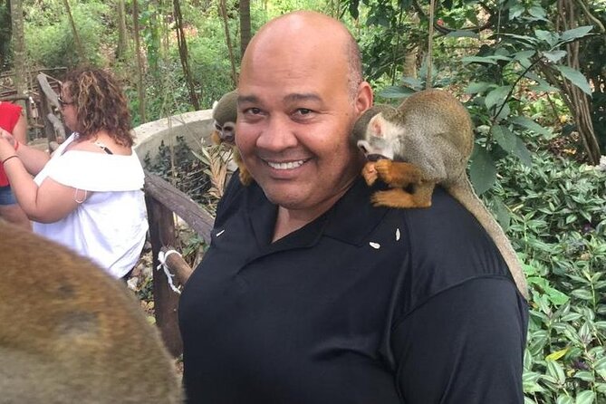 Monkey Jungle with Zip line - Meeting the squirrel monkeys at Monkey Jungle