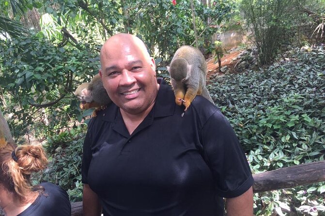 Monkey Jungle with Zip line - How the $125 price measures up