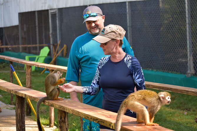 Monkey Mania Puerto Plata - A 25-minute ride from Puerto Plata to the monkeys