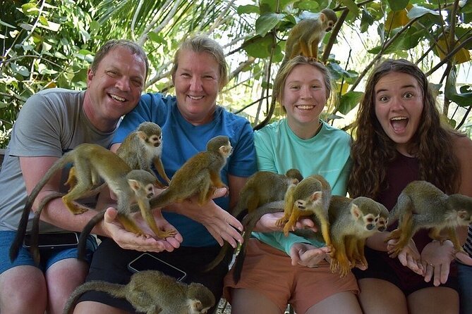 Monkey Mania Puerto Plata - Fifty minutes with playful, gentle monkeys