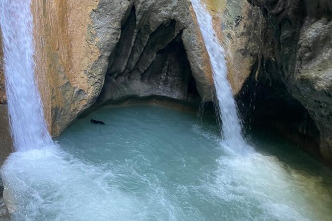 Monkey Tour Interaction and Damajagua waterfalls in Puerto Plata. - Key points to know before booking