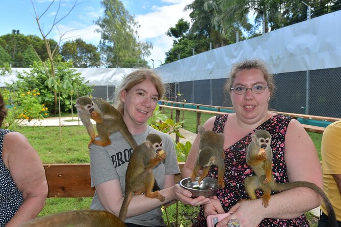 Monkey Tour Interaction and Damajagua waterfalls in Puerto Plata. - Two Puerto Plata adventures in one half-day