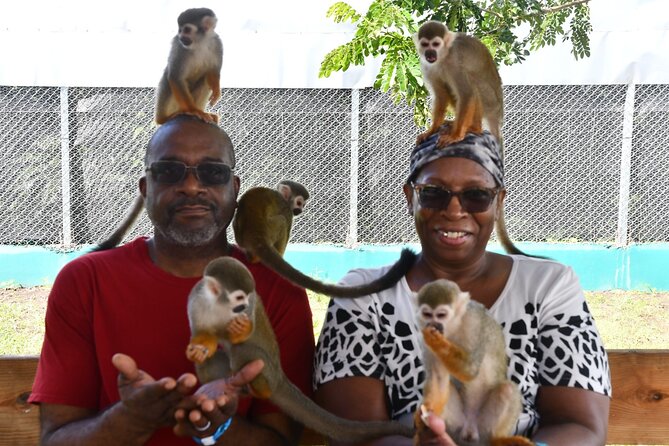 Monkey Tour Interaction and Damajagua waterfalls in Puerto Plata. - Sliding, swimming, and choosing your level of adventure