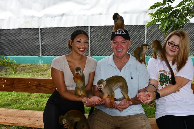 Monkey Tour Interaction and Damajagua waterfalls in Puerto Plata. - Who should book this Puerto Plata tour?