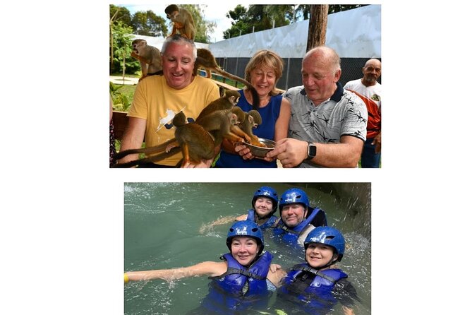 Monkey Tour Interaction and Damajagua waterfalls in Puerto Plata. - Getting from Taino Bay, Amber Cove, or your hotel