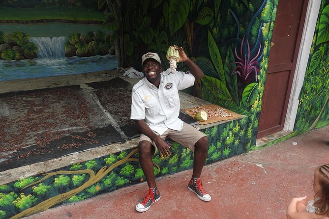 Monkeyland and Plantation Safari from La Romana - Heat, Health Rules, and What to Bring