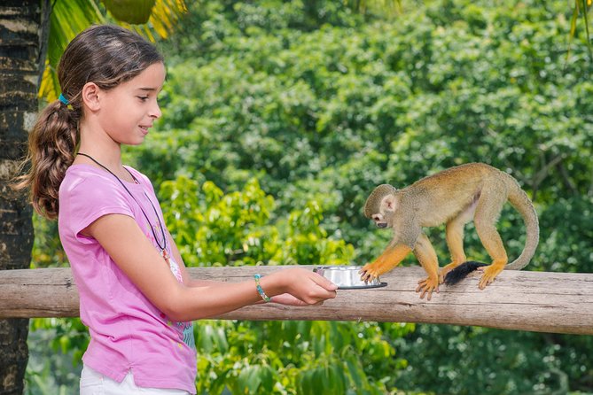 Monkeyland and Plantation Safari from La Romana - Booking, Cancellations, and Practical Limits