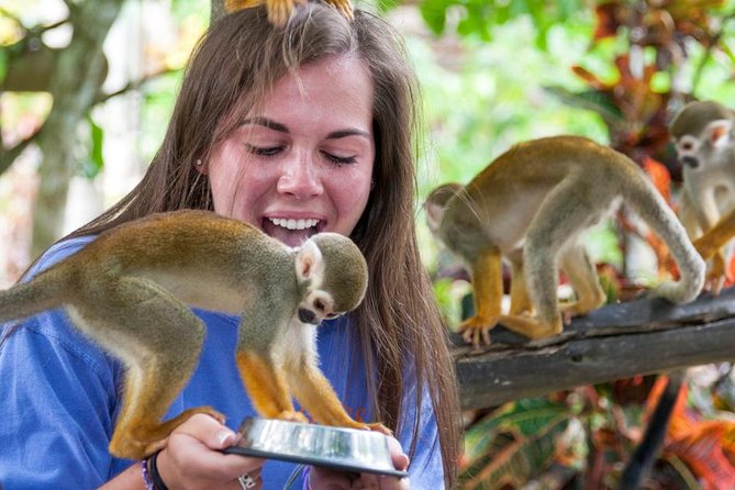 Monkeyland and Plantation Safari from La Romana - The Rural Home: Fruit, Coffee, and Cocoa