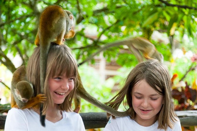 Monkeyland and Plantation Safari Tour from Punta Cana - Practical advice for a smoother day