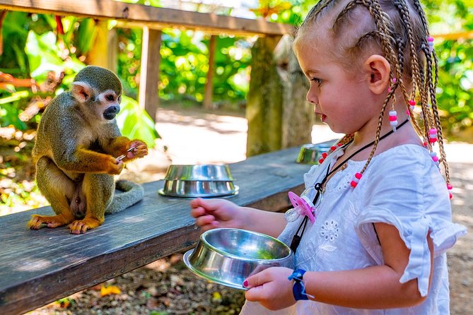 Monkeyland & Plantation Safari Full Day from Juan Dolio - Key points before you book