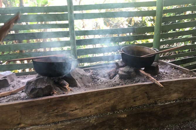 Monkeyland & Plantation Safari Full Day from Juan Dolio - Meeting the squirrel monkeys at Monkeyland