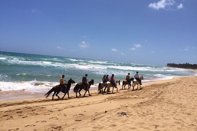 Montaña Redonda & Horseback Riding 2-in-1 Tour from Punta Cana - Timing, Fitness, and Weather