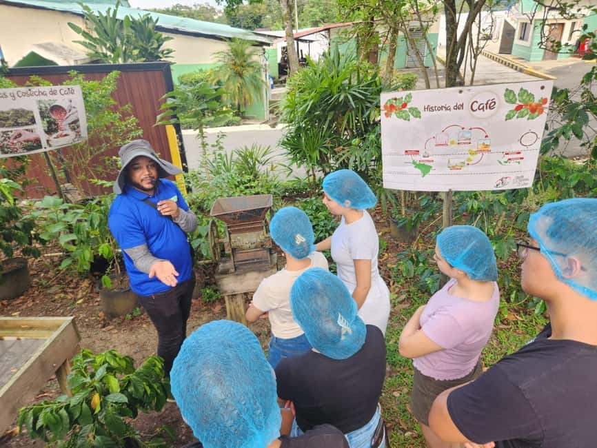 Monte Alto Factory Coffee Tour: Jarabacoa Experience - Key points at a glance