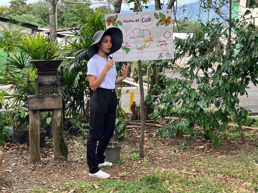 Monte Alto Factory Coffee Tour: Jarabacoa Experience - Why Café Monte Alto makes sense in Jarabacoa