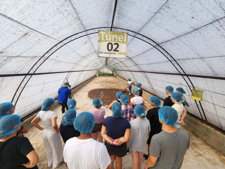 Monte Alto Factory Coffee Tour: Jarabacoa Experience - From raw beans to roasted coffee