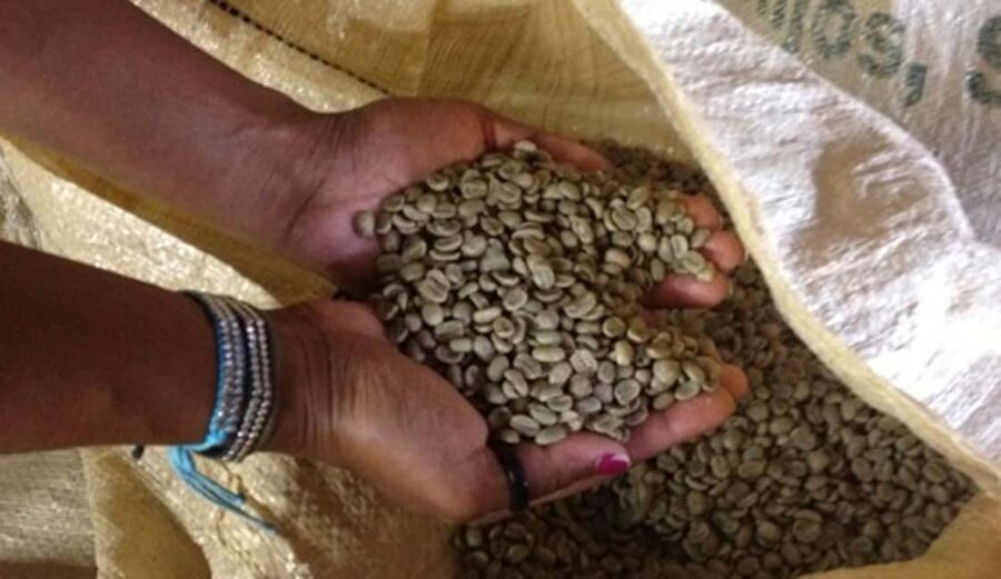 Monte Alto Factory Coffee Tour: Jarabacoa Experience - The tasting gives the visit a clear finish