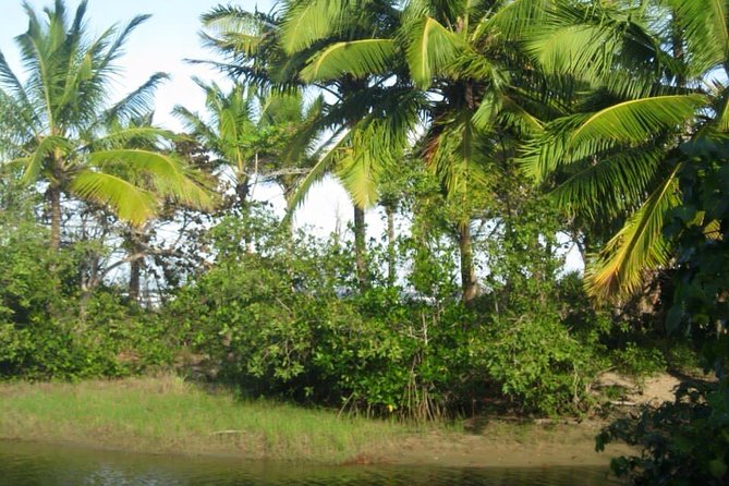 mountain horse back riding - Leaving the coast for Puerto Plata’s hills