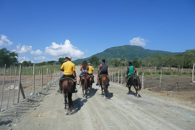 mountain horse back riding - The horses and the guide matter