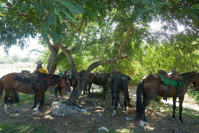 mountain horse back riding - A break at the local bar in Boulula