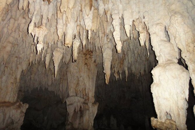 National Park of the East Private Hiking Tour with Swimming - Seeing Bayahibe beyond the meal