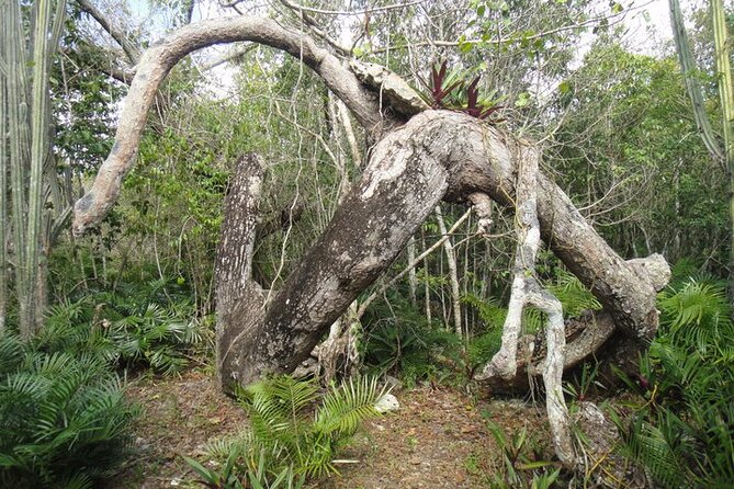 National Park of the East Private Hiking Tour with Swimming - Who should book this day