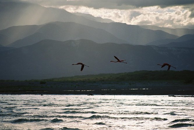 Nature Combo Oviedo Lagoon & Bahia de las Aguilas - What makes the beach stop worthwhile