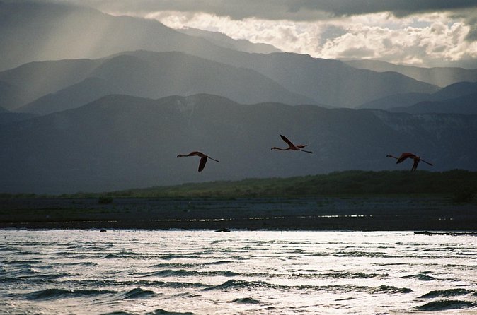 Nature Combo Oviedo Lagoon & Bahia de las Aguilas - Is $295 a fair price?