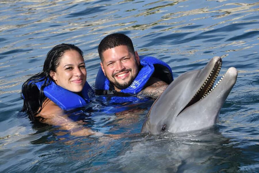 Ocean World Dolphin Swim & Sea Lion Combo from Puerto Plata - Key points to know before booking