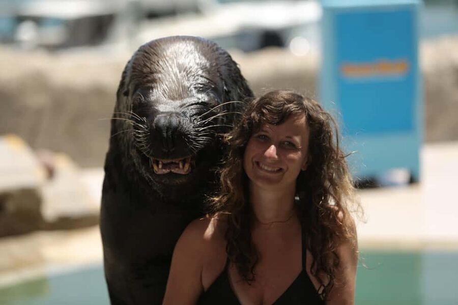 Ocean World Dolphin Swim & Sea Lion Combo from Puerto Plata - A full day at Ocean World near Cofresi Beach