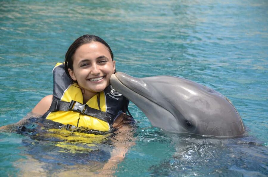 Ocean World Dolphin Swim & Sea Lion Combo from Puerto Plata - The 30-minute dolphin swim