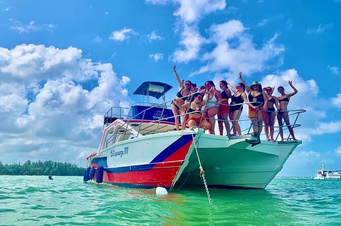 On Catamaran: Private Adventure in Punta Cana with Transportation - Dolphin viewing from the catamaran