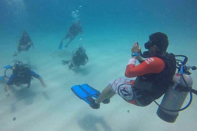 Open Water Diver - Bávaro - Four open-sea sessions put the training to work