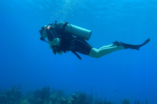 Open Water Diver - Bávaro - Planning around pickup, timing, and weather