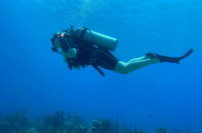Open Water Diver - Bávaro - Who will get the most from this course