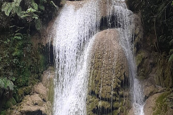 Parada Maria y Miguel and the Limón Waterfall Tour from Samana - Language, guides, and group expectations
