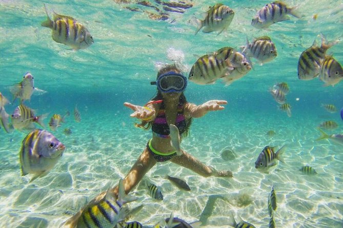 Paradise Island Cayo Arena & Mangroves from Puerto Plata (Full Day) - Snorkeling and swimming in the lagoon