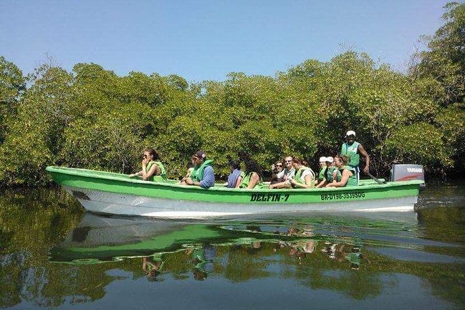 Paradise Island Cayo Arena & Mangroves from Puerto Plata (Full Day) - How the $99 price measures up