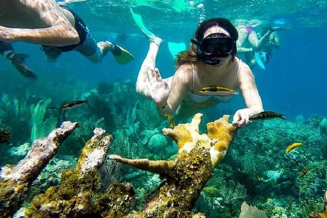 Paradise Island Cayo Arena & Mangroves from Puerto Plata (Full Day) - Weather, cancellation, and practical planning