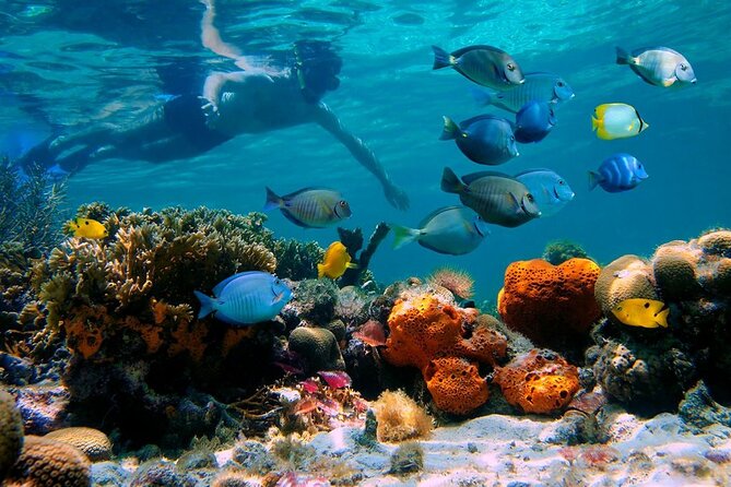 paradise island ( punta rucia) - What the pickup problems mean for you